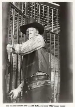 Жестяная звезда (1973) через торрент скачать Жестяная звезда (1973) фильм через торрент скачать