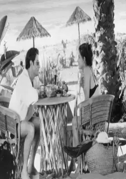 Сеть (1995) через торрент скачать Сеть (1995) фильм через торрент скачать