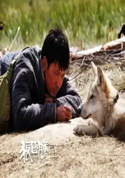 Тотем волка (2015) в хорошем качестве через торрент Тотем волка (2015) фильм в хорошем качестве через торрент