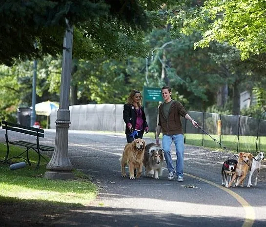 Золотая дверь (2008) через торрент бесплатно Золотая дверь (2008) фильм через торрент бесплатно