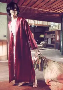 История двух сестёр (2003) через торрент скачать История двух сестёр (2003) фильм через торрент скачать