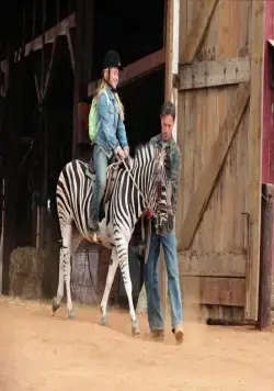 Бешеные скачки (2005) в хорошем качестве через торрент Бешеные скачки (2005) фильм в хорошем качестве через торрент