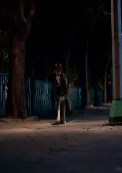 Воющий (2012) через торрент скачать Воющий (2012) фильм через торрент скачать