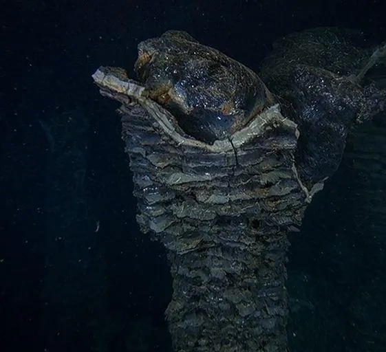 Вулканы в морских глубинах (2003) через торрент бесплатно Вулканы в морских глубинах (2003) фильм через торрент бесплатно