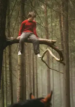 Угоняя лошадей (2019) через торрент бесплатно Угоняя лошадей (2019) фильм через торрент бесплатно