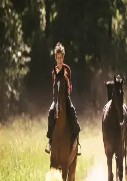 Угоняя лошадей (2019) через торрент скачать Угоняя лошадей (2019) фильм через торрент скачать