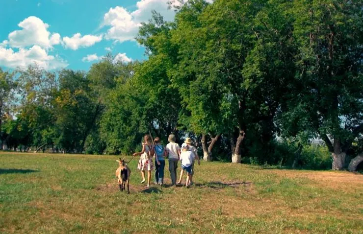 Бегство рогатых викингов (2018) в хорошем качестве через торрент Бегство рогатых викингов (2018) фильм в хорошем качестве через торрент