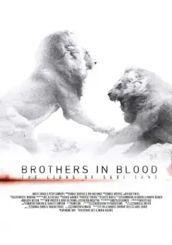 Прирожденные короли / Brothers in Blood: The Lions of Sabi Sand (2015) фильм скачать через торрент в хорошем качестве