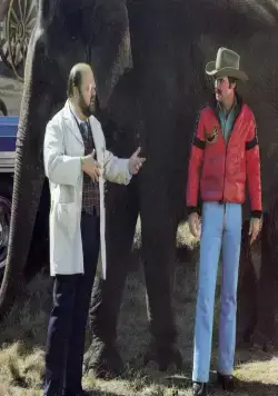 Смоки и Бандит 2 (1980) в хорошем качестве через торрент Смоки и Бандит 2 (1980) фильм в хорошем качестве через торрент