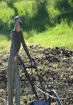 Завет любви (2004) через торрент скачать Завет любви (2004) фильм через торрент скачать