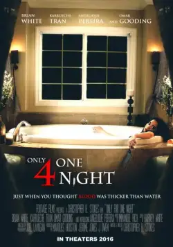 Только на одну ночь / Only for One Night (2016) фильм скачать через торрент в хорошем качестве