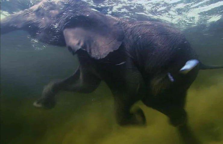 Земля (2007) в хорошем качестве через торрент Земля (2007) фильм в хорошем качестве через торрент