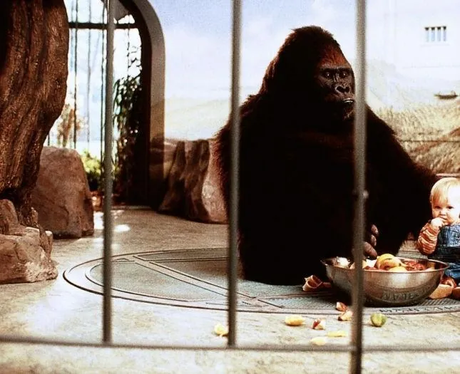 Младенец на прогулке, или Ползком от гангстеров (1994) через торрент бесплатно Младенец на прогулке, или Ползком от гангстеров (1994) фильм через торрент бесплатно