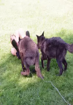 Мизинец Будды (2014) через торрент бесплатно Мизинец Будды (2014) фильм через торрент бесплатно