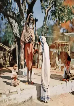 Река (1951) через торрент скачать Река (1951) фильм через торрент скачать