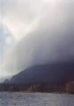 Кукушка (2002) в хорошем качестве через торрент Кукушка (2002) фильм в хорошем качестве через торрент