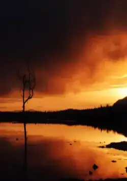 Кукушка (2002) через торрент бесплатно Кукушка (2002) фильм через торрент бесплатно