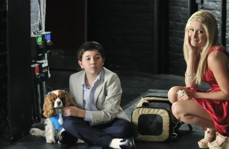 Шикарное приключение Шарпей (2011) через торрент бесплатно Шикарное приключение Шарпей (2011) фильм через торрент бесплатно