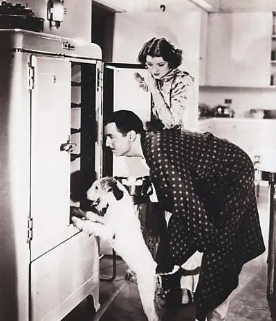 Тонкий человек (1934) через торрент бесплатно Тонкий человек (1934) фильм через торрент бесплатно