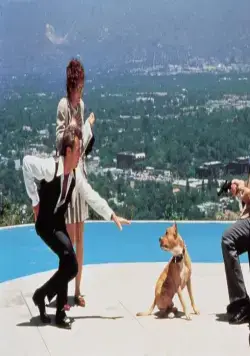 Два дня в долине (1996) через торрент бесплатно Два дня в долине (1996) фильм через торрент бесплатно