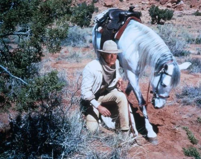 Счастливчик Люк (1991) через торрент скачать Счастливчик Люк (1991) фильм через торрент скачать