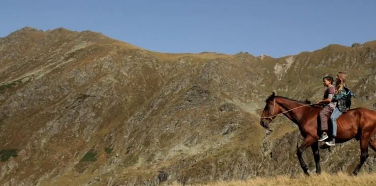Приключения Нелли (2016) через торрент бесплатно Приключения Нелли (2016) фильм через торрент бесплатно