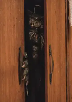 Лепрекон возвращается (2018) через торрент скачать Лепрекон возвращается (2018) фильм через торрент скачать