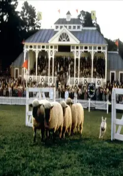 Бэйб: Четвероногий малыш (1995) через торрент бесплатно Бэйб: Четвероногий малыш (1995) фильм через торрент бесплатно