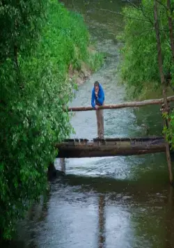 Петрович (2012) через торрент скачать Петрович (2012) фильм через торрент скачать