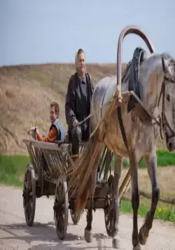 Петрович (2012) через торрент бесплатно Петрович (2012) фильм через торрент бесплатно