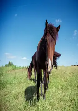 Атлантида Русского Севера (2015) в хорошем качестве через торрент Атлантида Русского Севера (2015) фильм в хорошем качестве через торрент