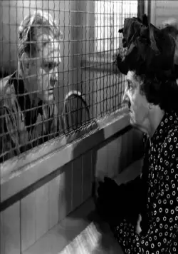 Белая горячка (1949) в хорошем качестве через торрент Белая горячка (1949) фильм в хорошем качестве через торрент