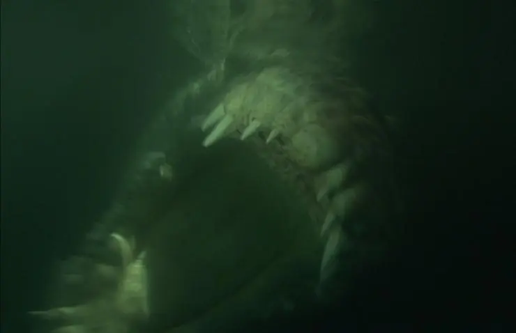 Крокодил (2006) через торрент бесплатно Крокодил (2006) фильм через торрент бесплатно