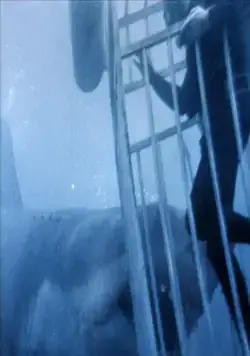Челюсти (1975) через торрент бесплатно Челюсти (1975) фильм через торрент бесплатно
