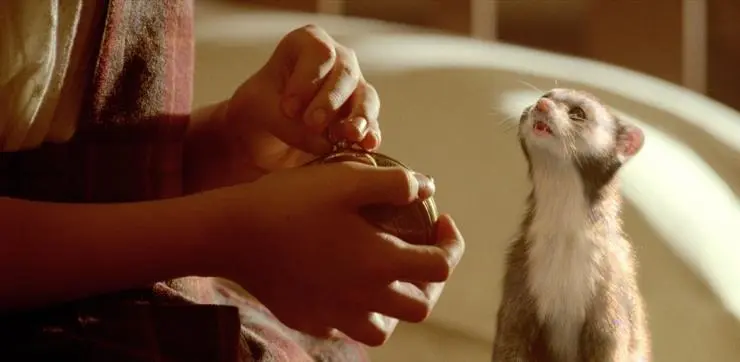 Золотой компас (2007) в хорошем качестве через торрент Золотой компас (2007) фильм в хорошем качестве через торрент