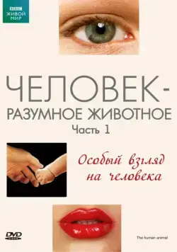 BBC: Человек – разумное животное / The Human Animal (1994) cериал скачать через торрент в хорошем качестве
