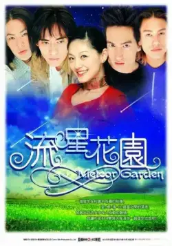 Сад падающих звезд / Liu xing hua yuan (2001) cериал скачать через торрент в хорошем качестве