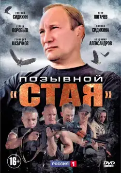Позывной «Стая» / Позывной «Стая» (2013) cериал скачать через торрент в хорошем качестве
