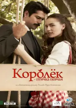 Королёк – птичка певчая / Çalikusu (2013) cериал скачать через торрент в хорошем качестве