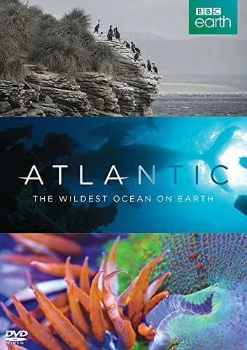 Атлантика: Самый необузданный океан на Земле / Atlantic: The Wildest Ocean on Earth (2015) cериал скачать через торрент в хорошем качестве