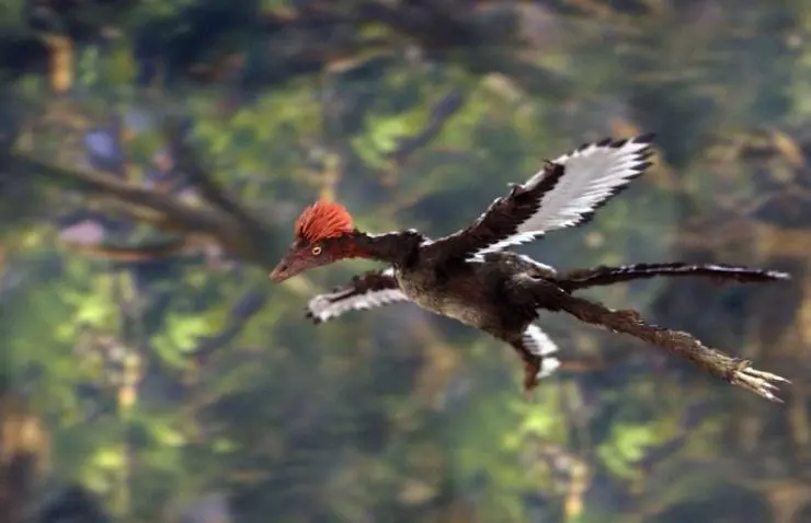 Восстание животных: Триумф позвоночных (2013) через торрент бесплатно Восстание животных: Триумф позвоночных (2013) сериал через торрент бесплатно