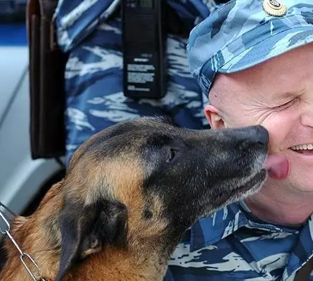 Всё к лучшему (2010) через торрент бесплатно Всё к лучшему (2010) сериал через торрент бесплатно