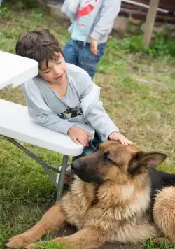 Сладкая жизнь (2014) в хорошем качестве через торрент Сладкая жизнь (2014) сериал в хорошем качестве через торрент