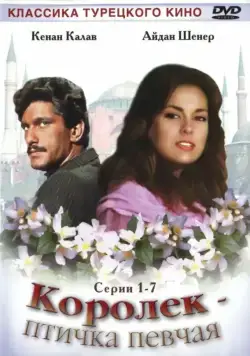 Королёк – птичка певчая / Çalıkuşu (1986) cериал скачать через торрент в хорошем качестве