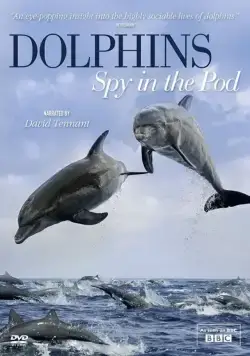 Дельфины скрытой камерой / Dolphins: Spy in the Pod (2014) cериал скачать через торрент в хорошем качестве