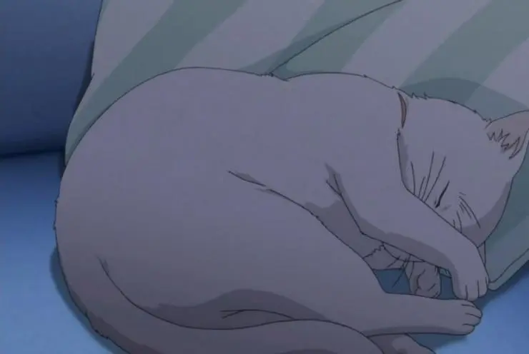 Скажи: «Я люблю тебя» (2012) через торрент бесплатно Скажи: «Я люблю тебя» (2012) мультфильм через торрент бесплатно