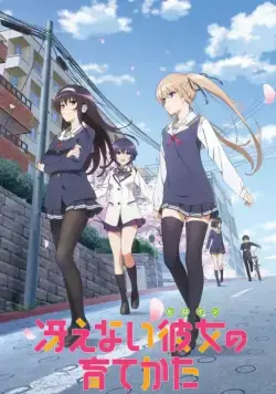 Как создать из обычной девушки героиню / Saenai hiroin no sodatekata (2015) cериал мультфильм аниме скачать через торрент в хорошем качестве