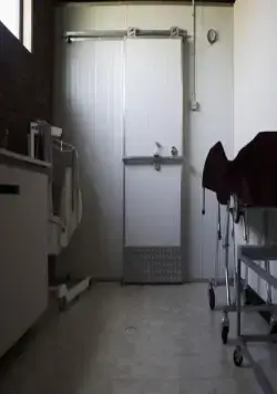 Озеро Мунго (2008) через торрент бесплатно Озеро Мунго (2008) фильм через торрент бесплатно