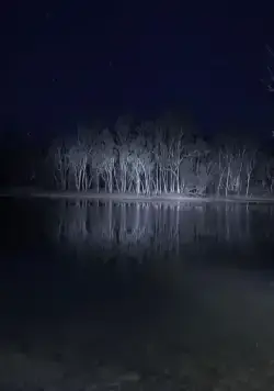 Озеро Мунго (2008) через торрент скачать Озеро Мунго (2008) фильм через торрент скачать