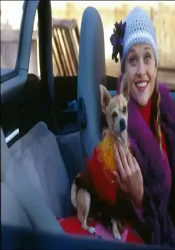 Блондинка в законе (2001) через торрент бесплатно Блондинка в законе (2001) фильм через торрент бесплатно